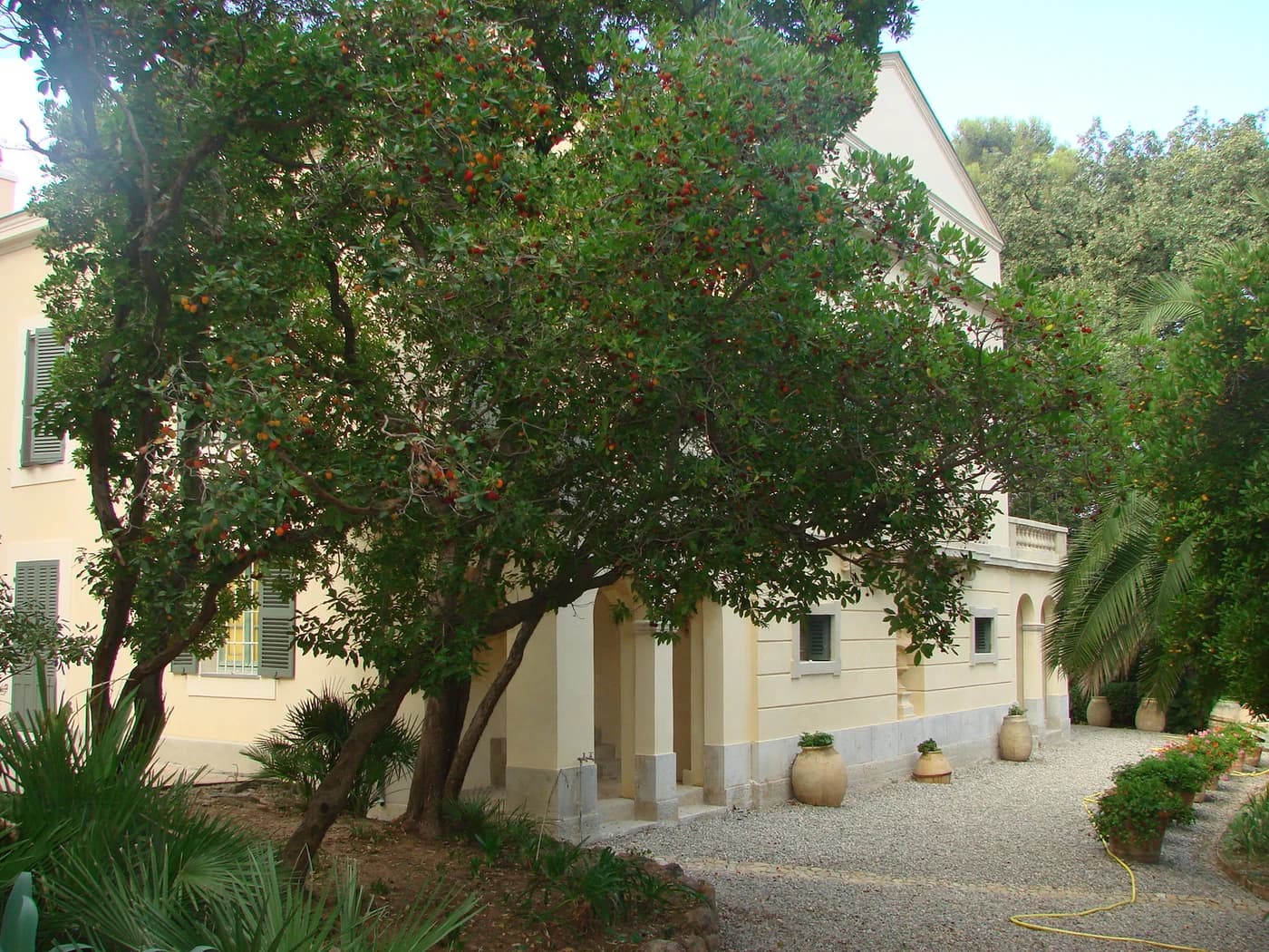 Façade claire du Plantier de Costebelle derrière les arbres de son jardin